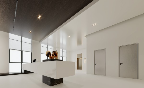 巴迪斯新厂6楼办公室大厅002